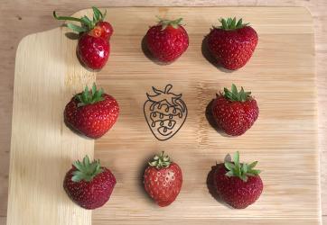 Image that shows a rappresentation of different strawberries.