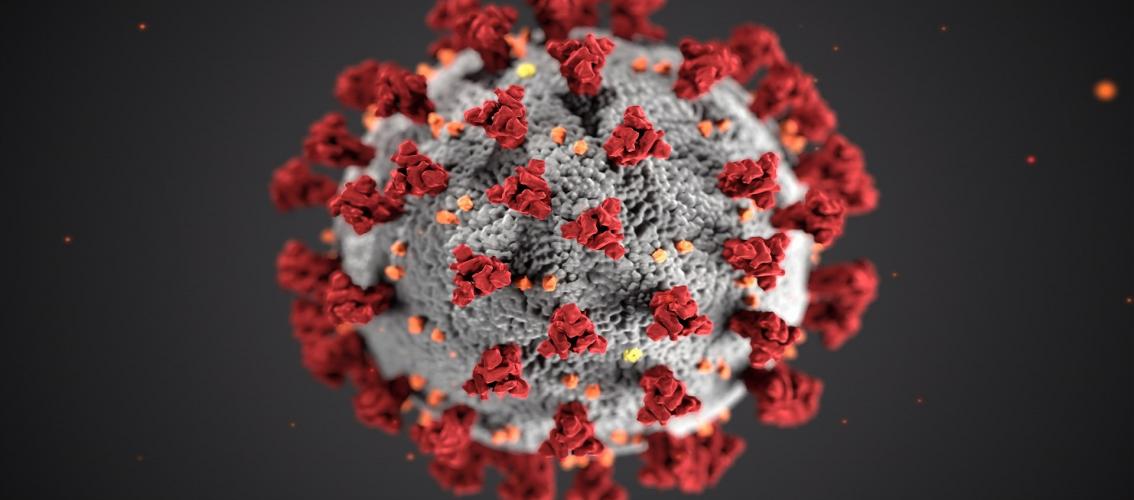 The Coronavirus