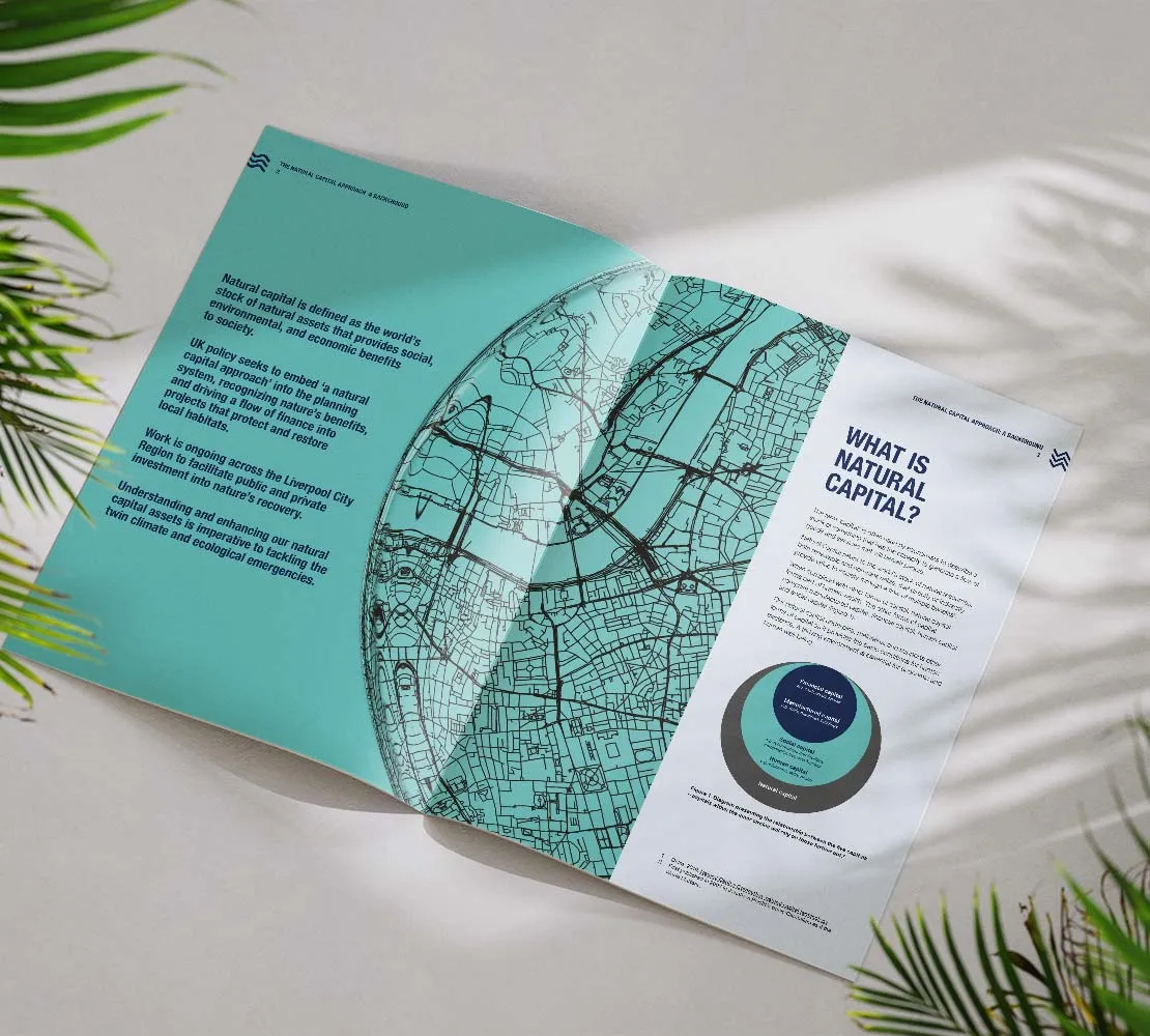 NCH brochure internal spread